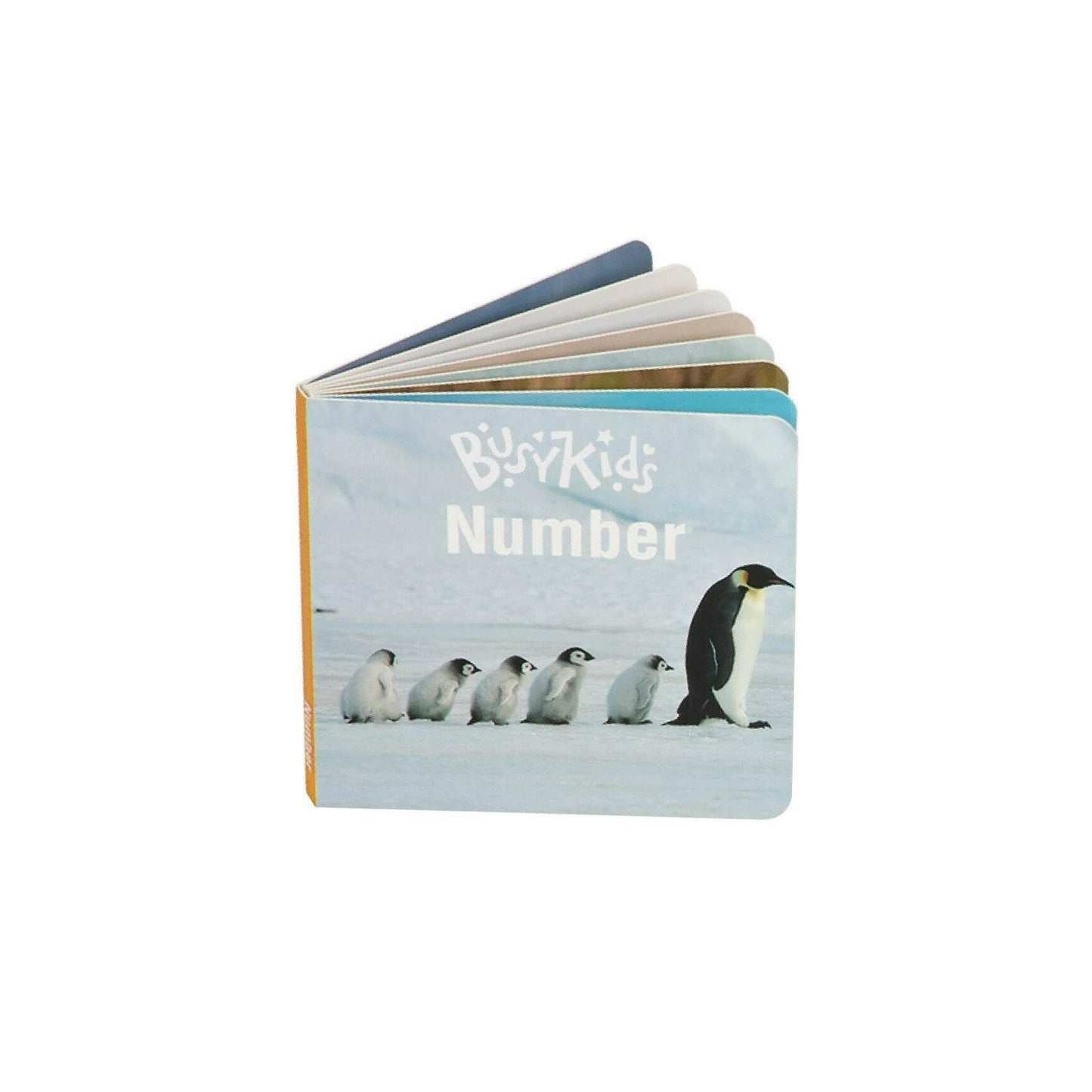 Montessori-Box für Kinder von 24 bis 36 Monaten.