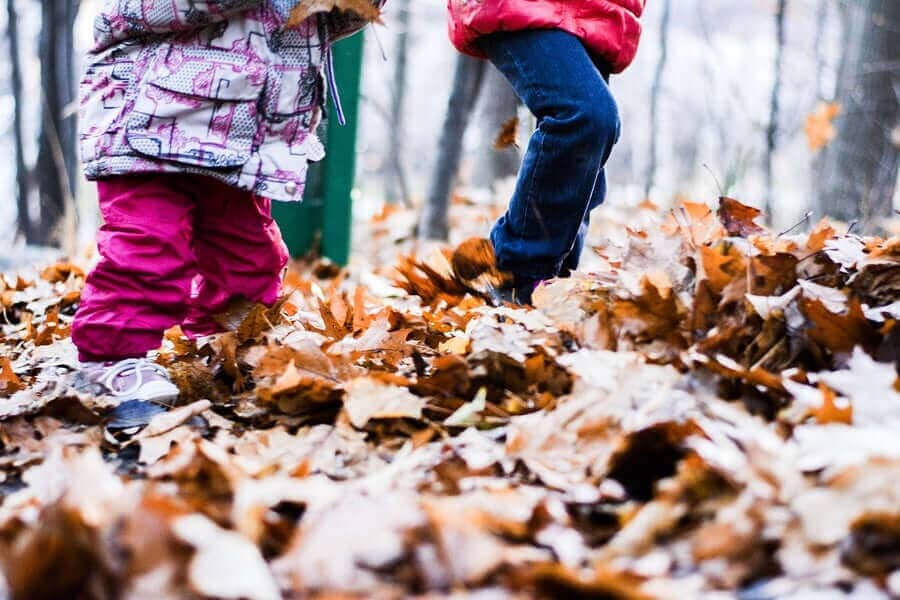 Bildungsansätze für Kinder: Montessori, Pikler, Psychomotorik und Waldorf.