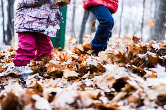 Bildungsansätze für Kinder: Montessori, Pikler, Psychomotorik und Waldorf.