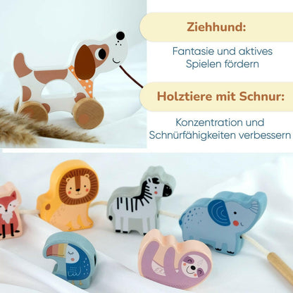 Montessori - Box für Kinder von 18 bis 24 Monaten - BesonderesHoch2