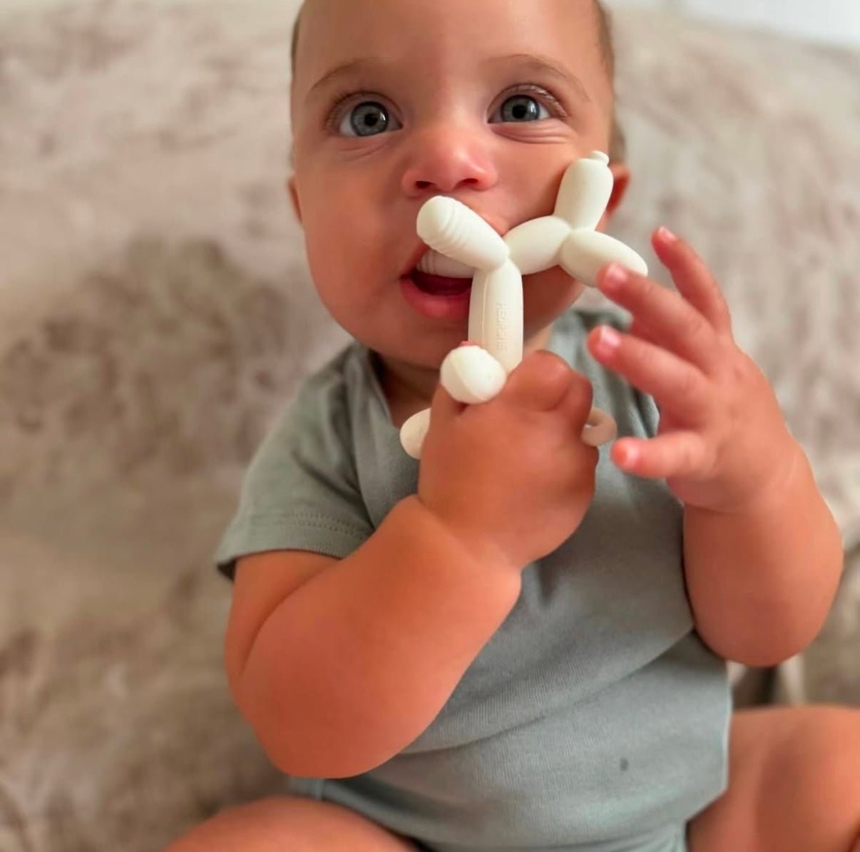 Puppy Teether (Weiß) - BesonderesHoch2